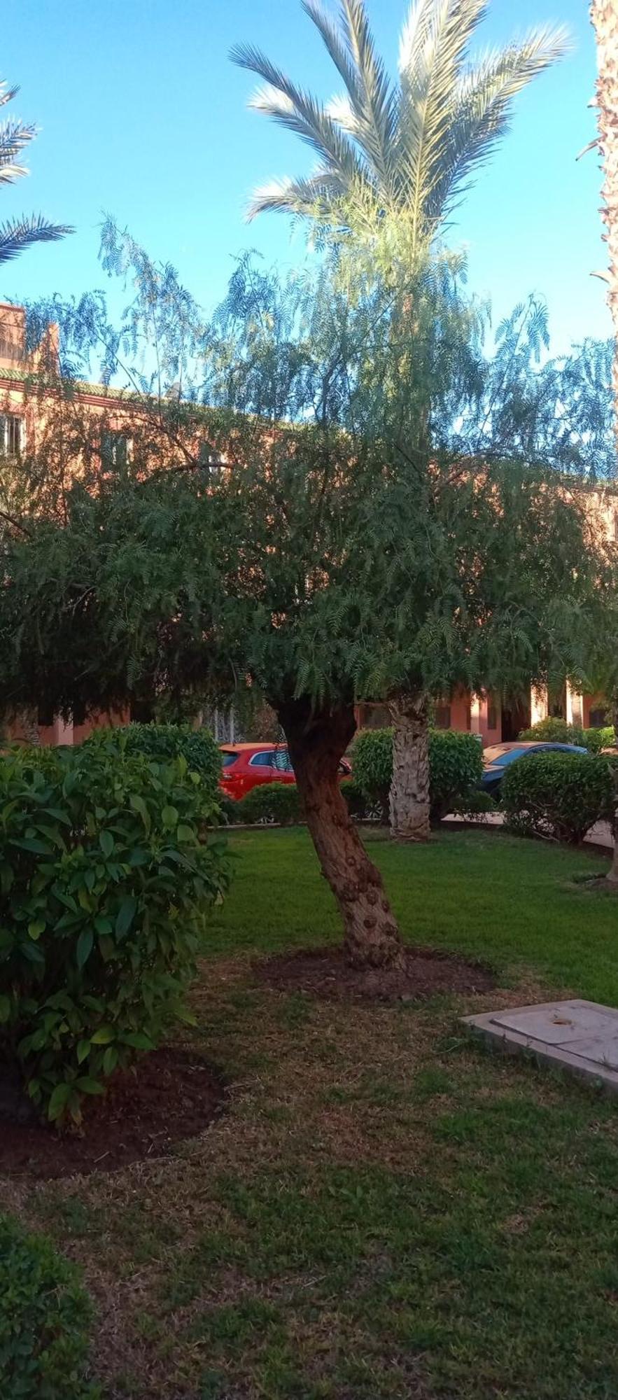 Riad Nour Resorts-Riad Nour Travel مراكش المظهر الخارجي الصورة